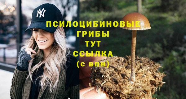 меф Надым