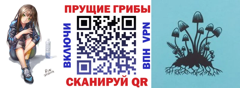 Галлюциногенные грибы прущие грибы  где продают наркотики  Великий Новгород 